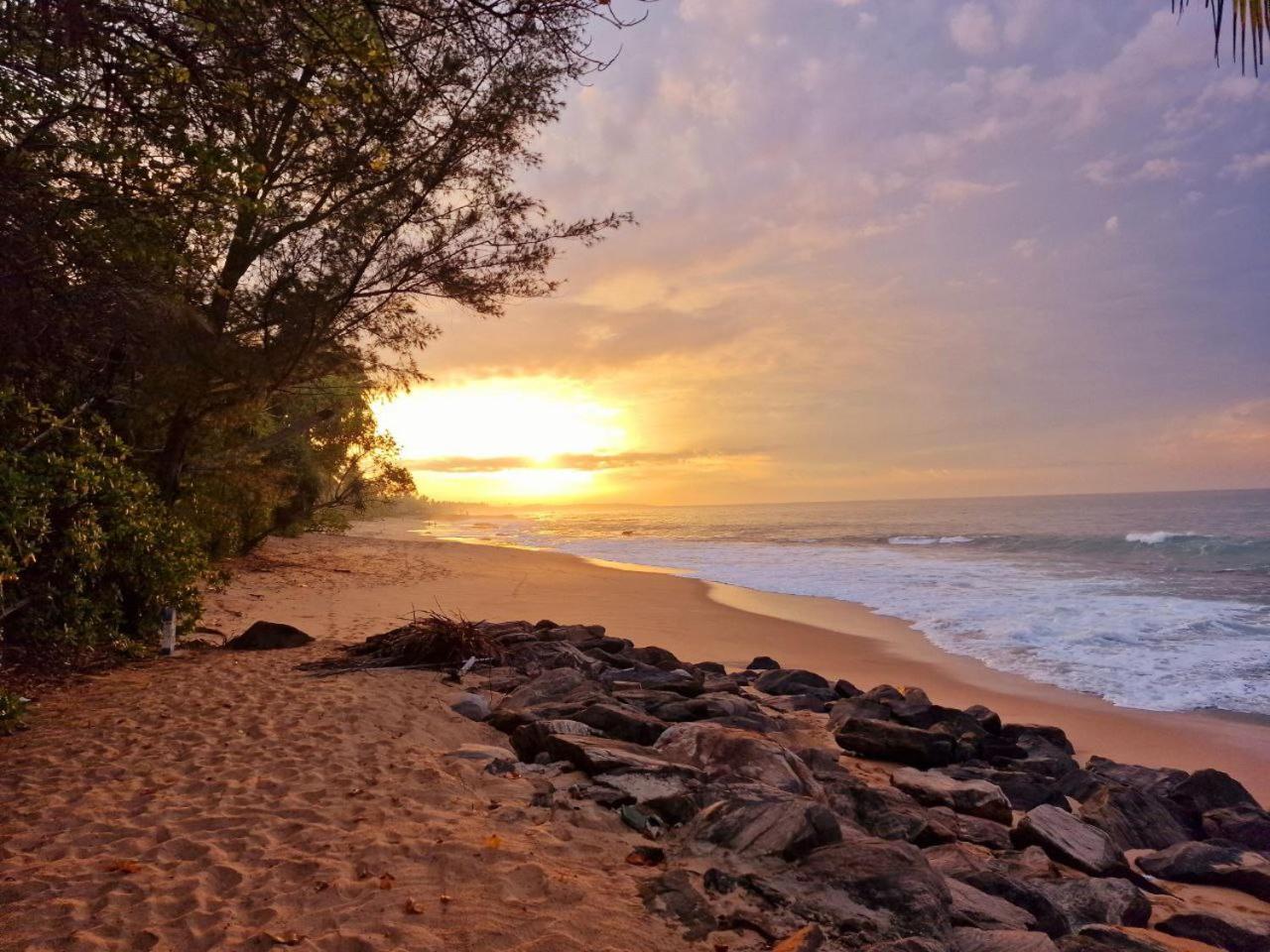 Panorama Beach Hotel Tangalle Exterior foto